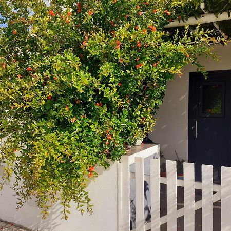 Zenergy - Guest House Odeceixe Exterior photo