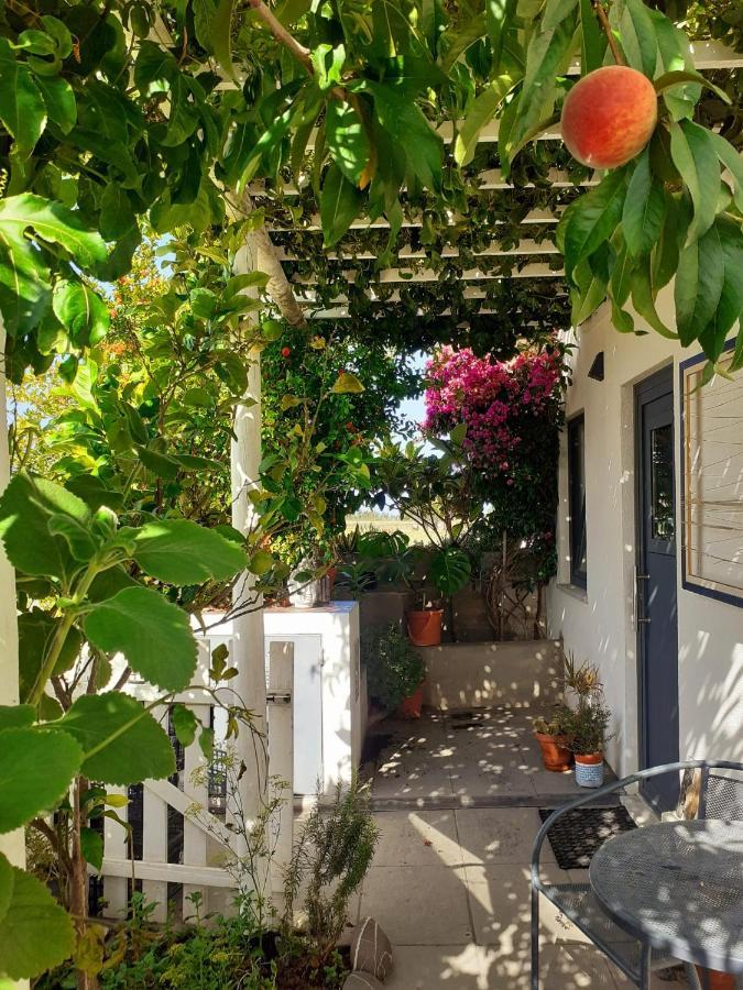 Zenergy - Guest House Odeceixe Exterior photo